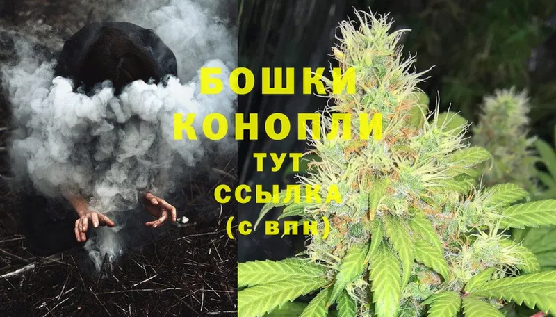 Шишки марихуана THC 21%  купить наркотики сайты  Абдулино 